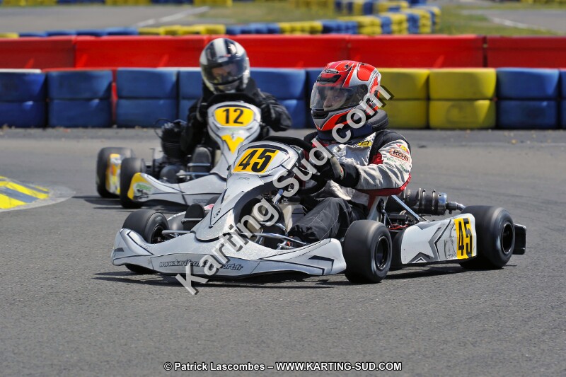 DSC_ (1572).jpg